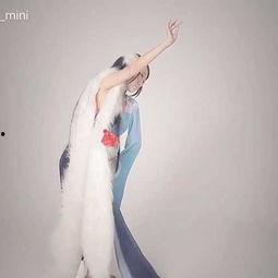 国产狐妖动漫解说视频,穿越时空的奇幻之旅