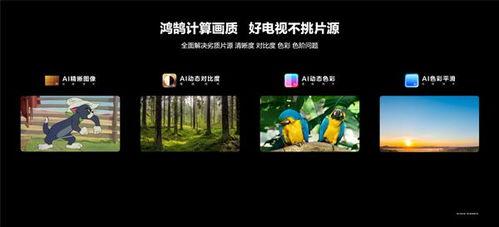 国产野外高清一级视频,沉浸式自然奇观之旅