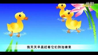 鸭子丅v国产免费视频,鸭子丅v的精彩瞬间